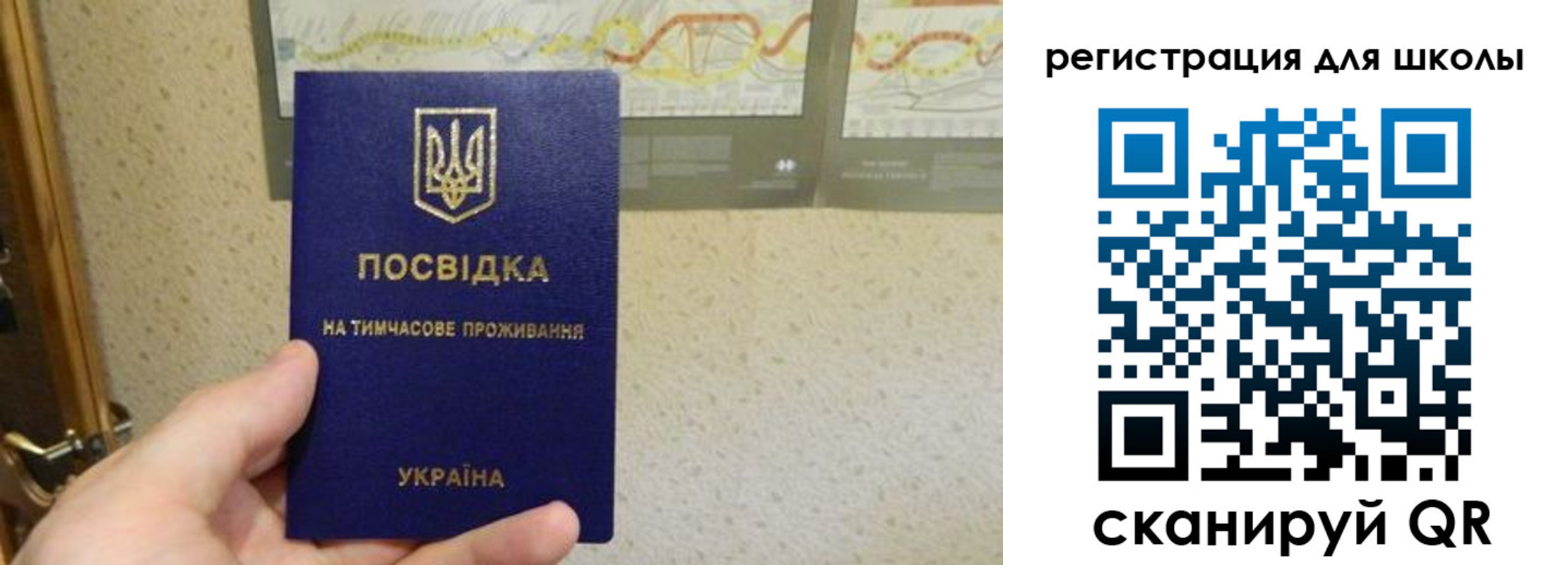 временная прописка в Павловске